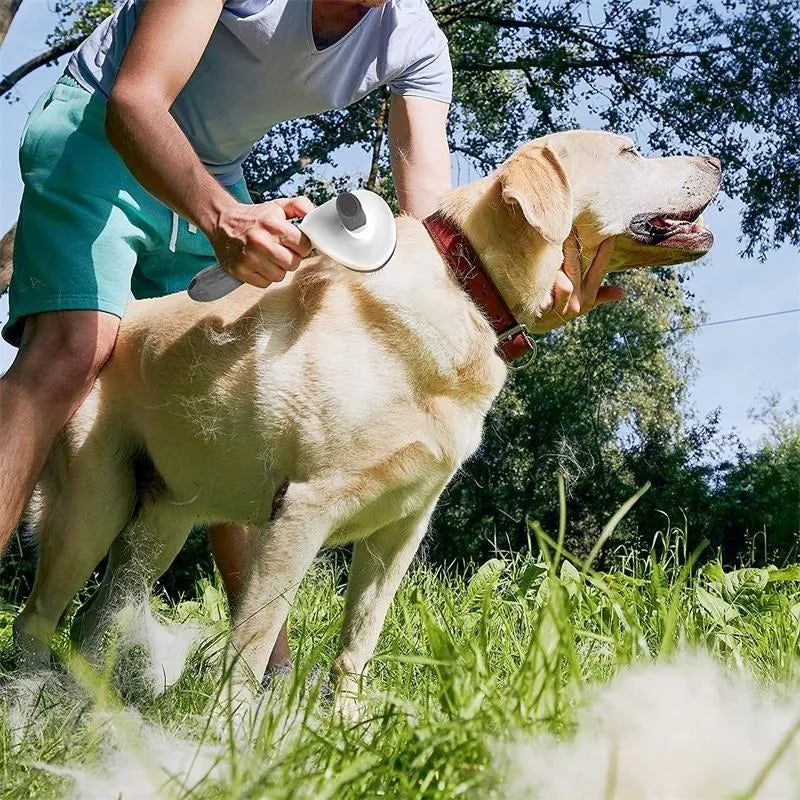 Pets Brush Self Cleaning